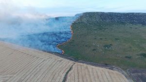 Imagen de uno de los focos del incendio en Balcarce.