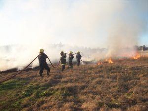 Incendio de pastizales en campo sobre RP42.